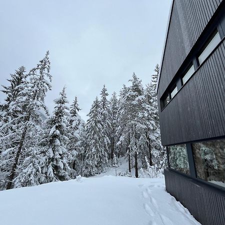 Chalet Dachstein Ramsau am Dachstein Esterno foto